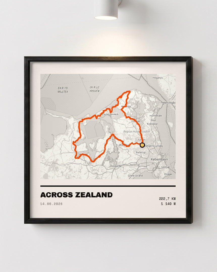 One ride — framed print under a picture light