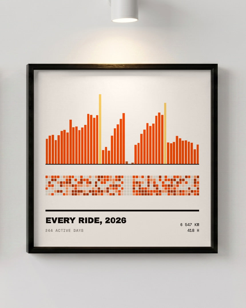 One year — framed print under a picture light